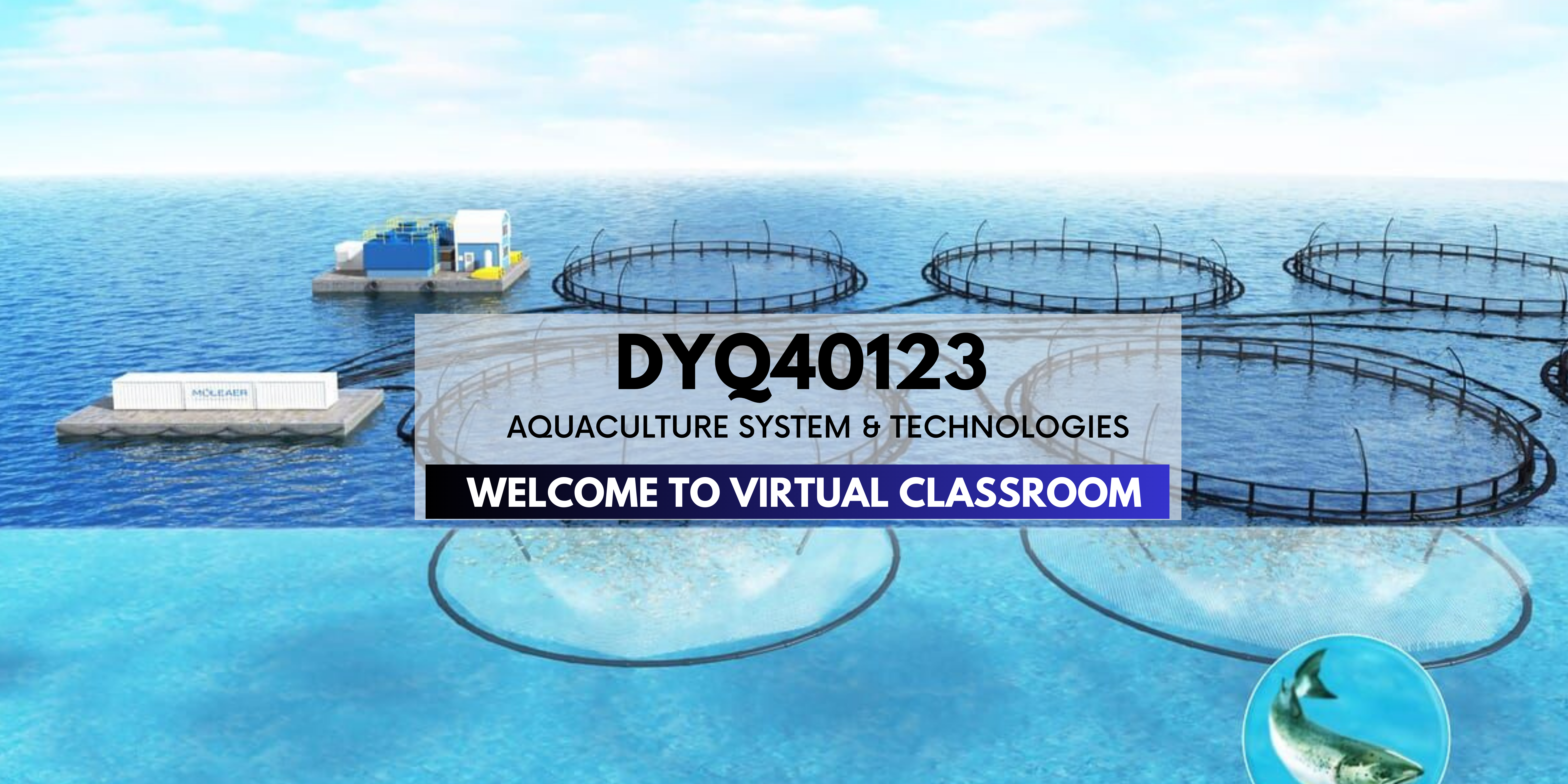 DYQ40123 - AQUACULTURE SYSTEM AND TECHNOLOGY