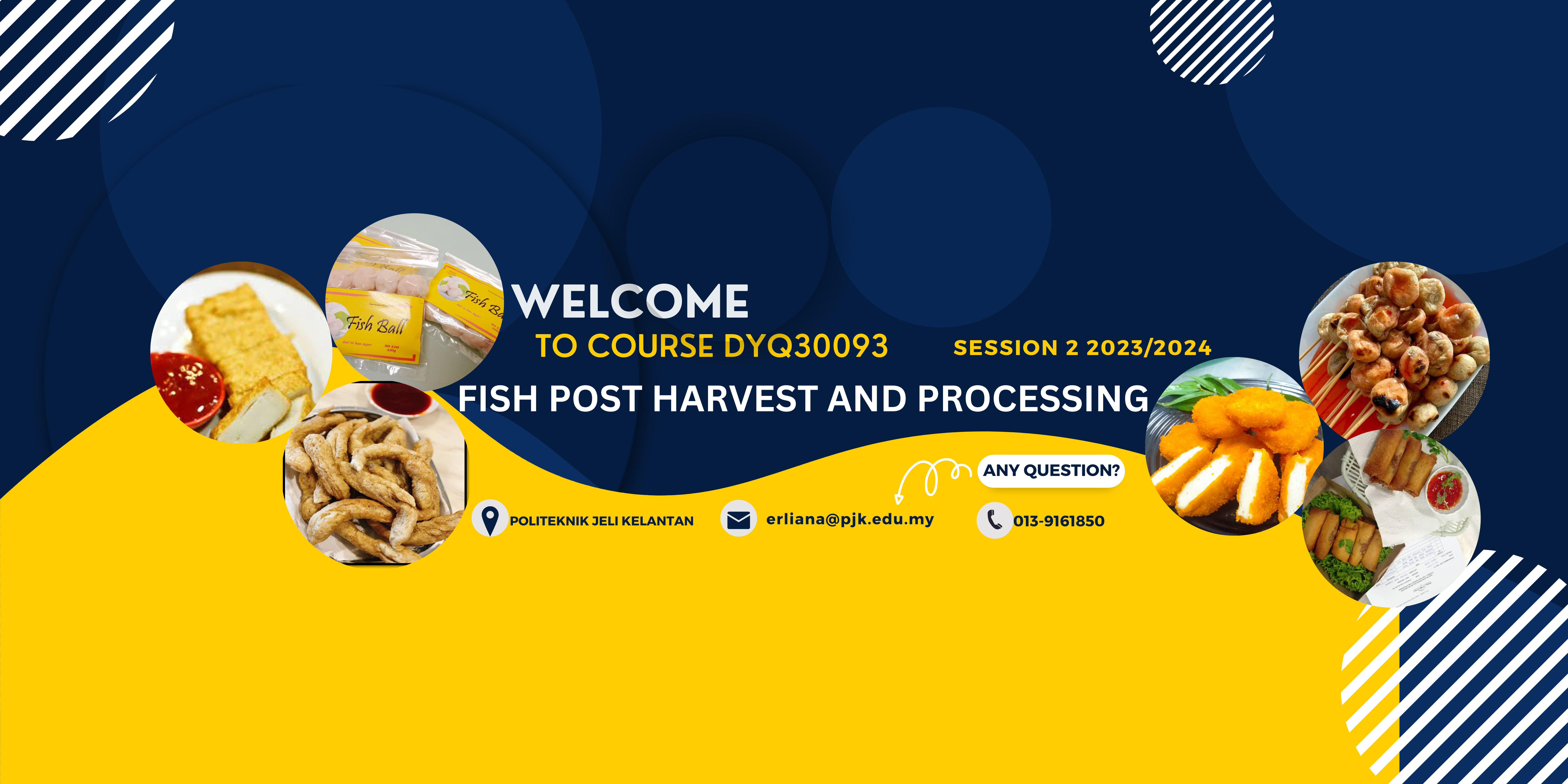 DYQ30093 - FISH POST HARVEST AND PROCESSING