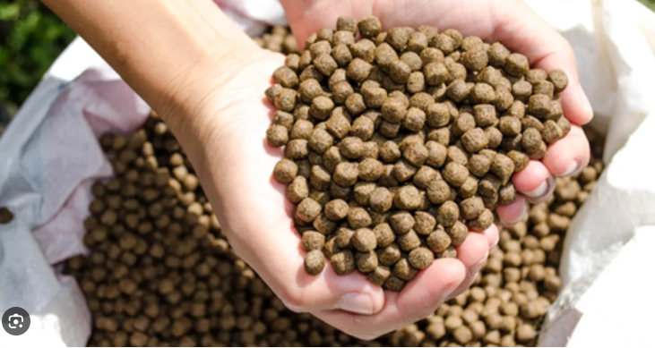 DYQ30083 - AQUACULTURE FEED AND NUTRITION