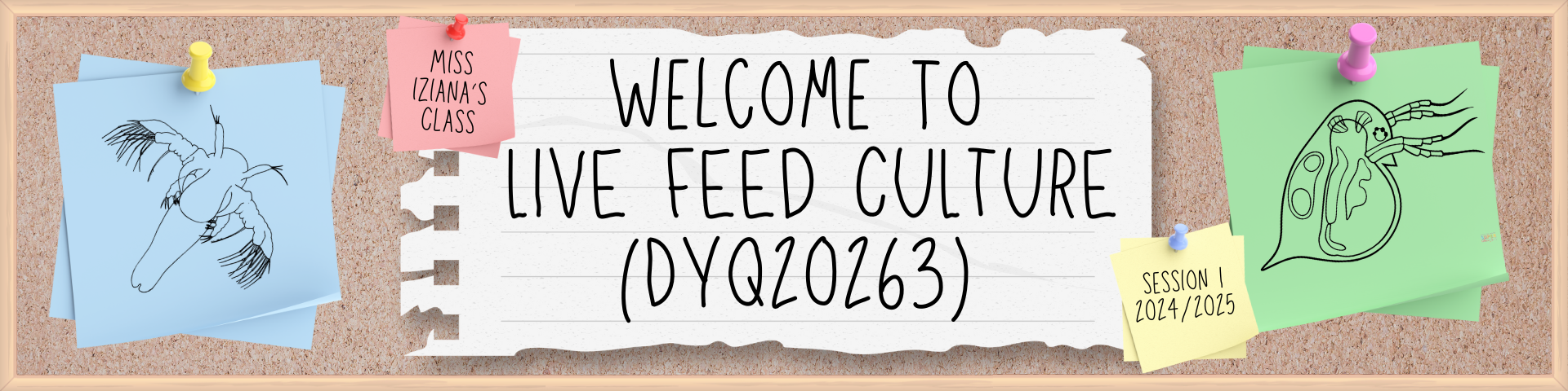 DYQ20263 - LIVE FEED CULTURE