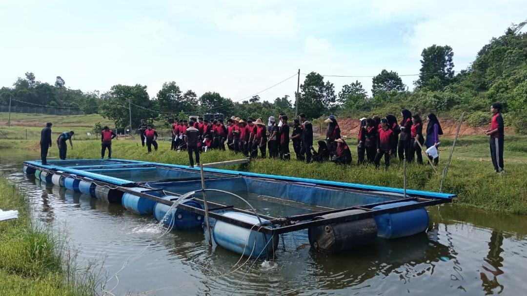 DYQ40333 AQUACULTURE FARMING