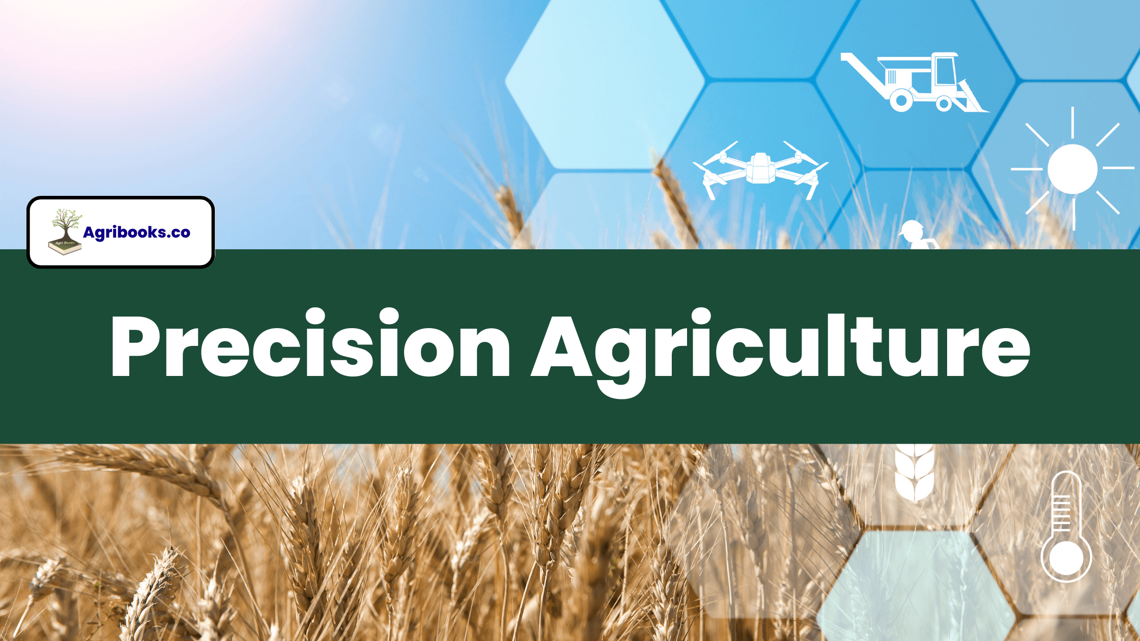 DYA40143  Precision Agriculture